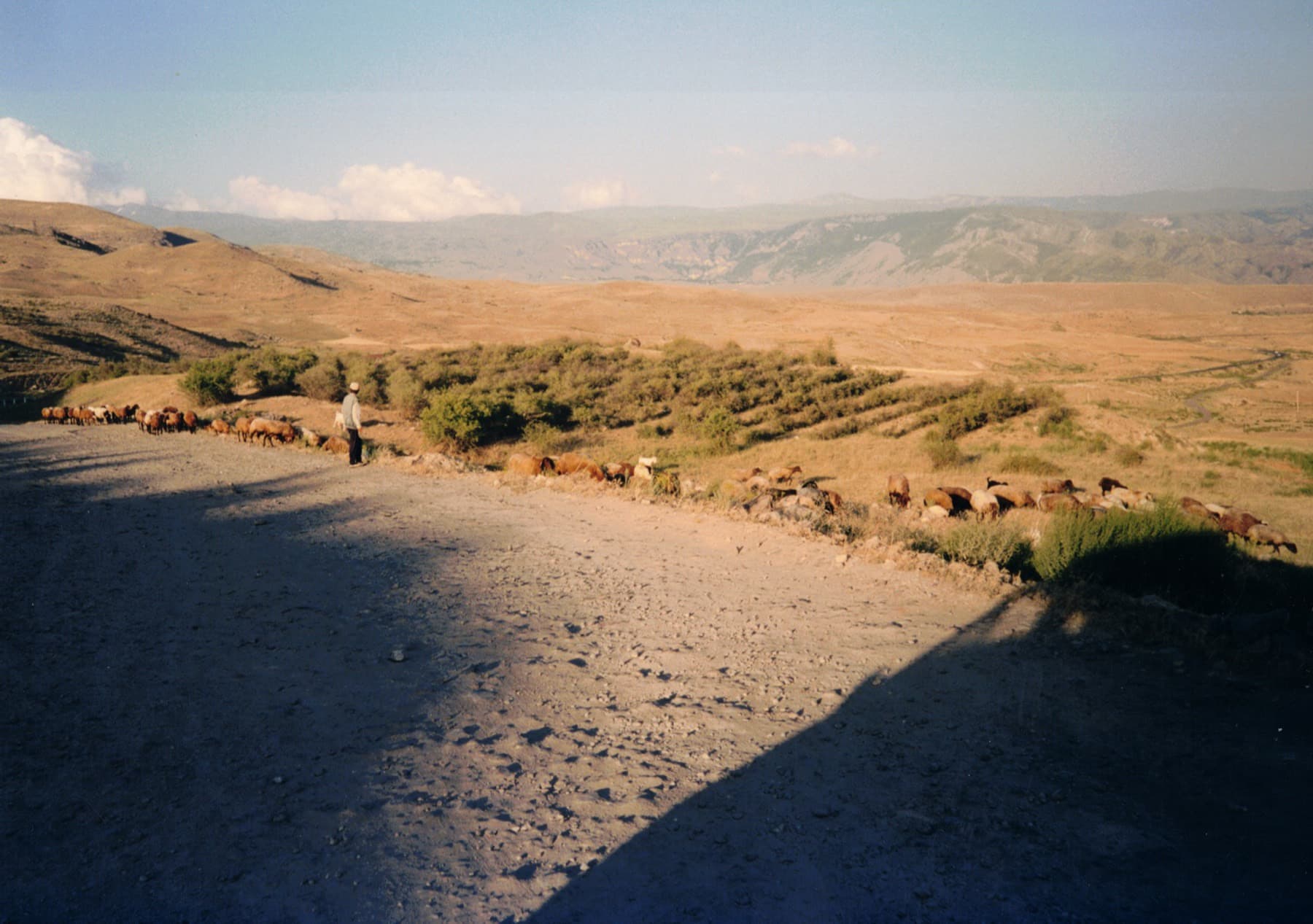 The Armenian Community Album