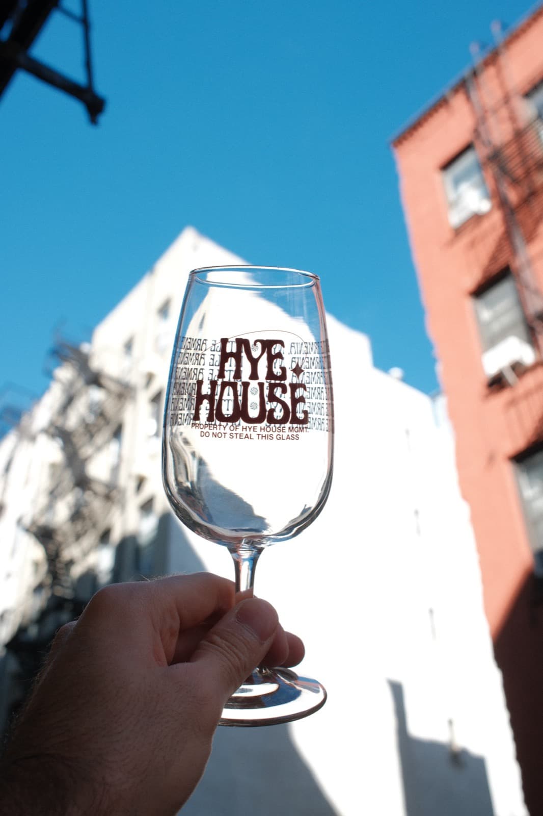 Hye House Wine Glass